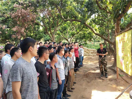 深圳丁丁农场