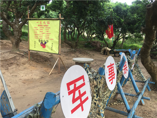 深圳丁丁农场8