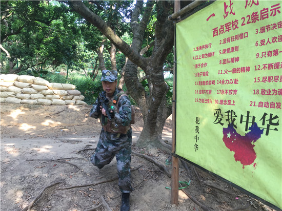 深圳丁丁农场3