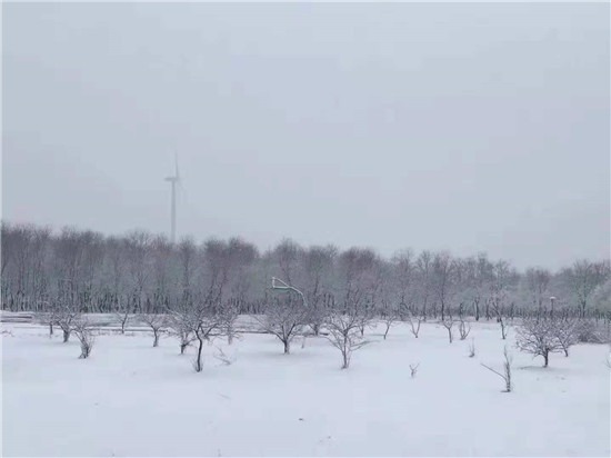 东海真人cs基地