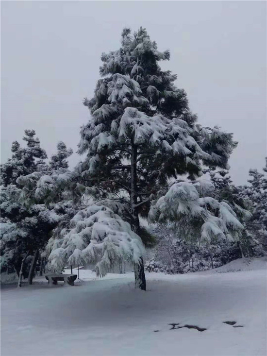 东海拓展训练