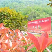 西安九龙湾拓展训练两天一夜团建拓展活动圆满