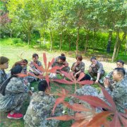 西安公司团建去哪里比较好 西安青少年拓展训练