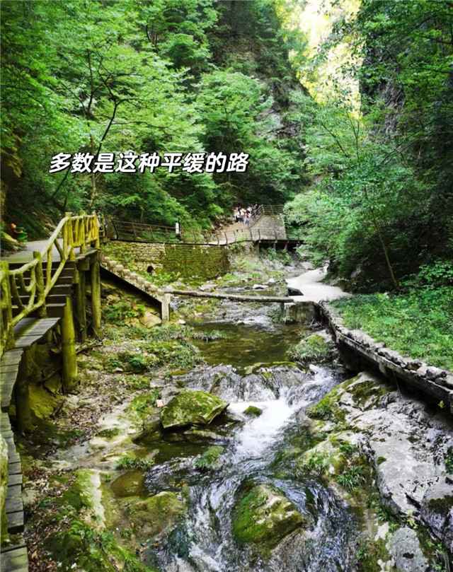 金丝峡